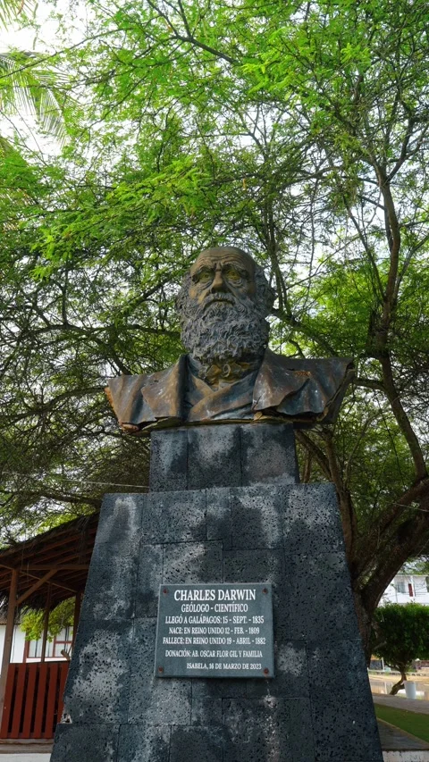 Santo Tomas, Ecuador, 1 May 2026: Close view of Charles Darwin bust and plaque. Stock Footage 334811898
