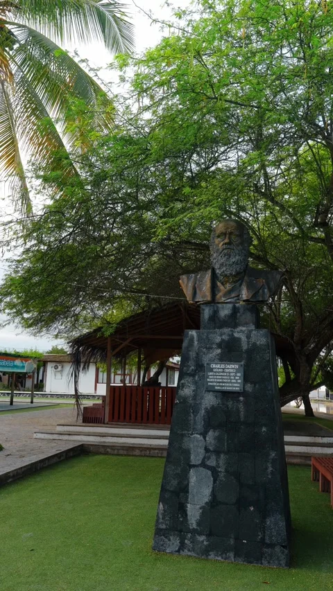 Santo Tomas, Ecuador, 1 May 2026: Charles Darwin bust monument in Isabela Island Stock Footage 334811905
