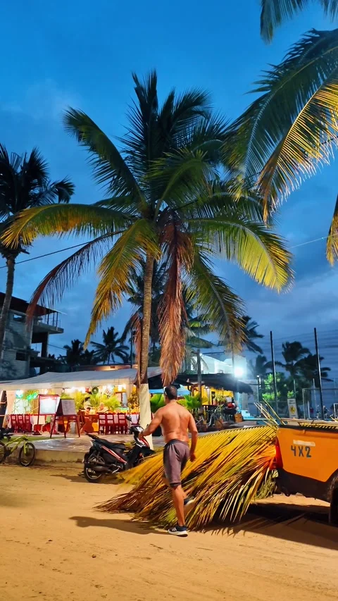 Santo Tomas, Ecuador, 1 May 2026: Local man loading palm leaves near restaurants Stock Footage 336806775