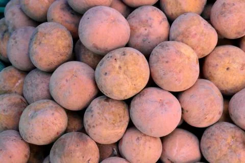 Santol Fruit Fresh background, note subject is blurry :ideal use for backgrou Stock Photos