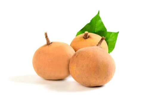 Santol fruit isolated on white background, the famous fruit of Lop Buri, Stock Photos