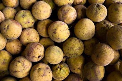 Santol fruit Foto stock