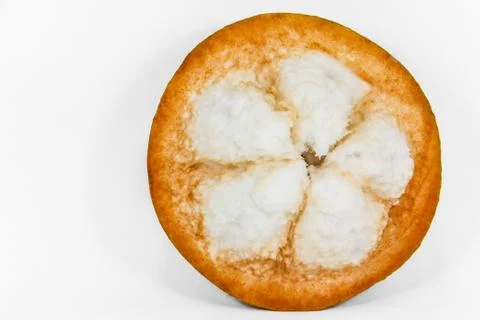 Santol fruit 스톡 사진