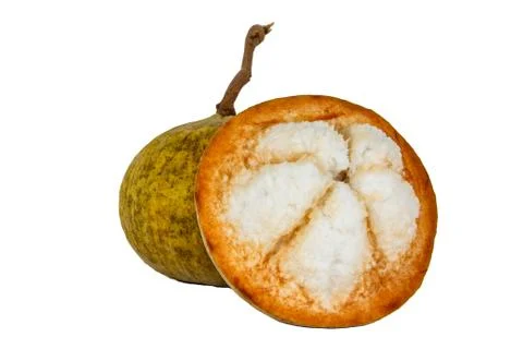 Santol fruit Stock Photos