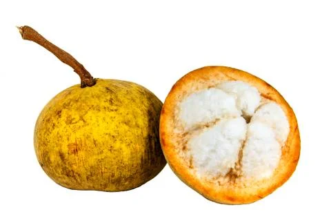 Santol fruit 스톡 사진