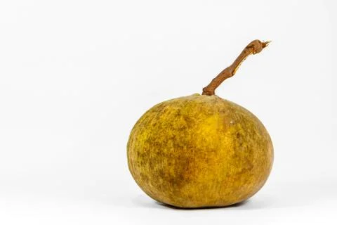 Santol fruit 스톡 사진