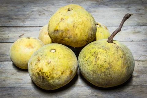 Santol fruit Stock Photos