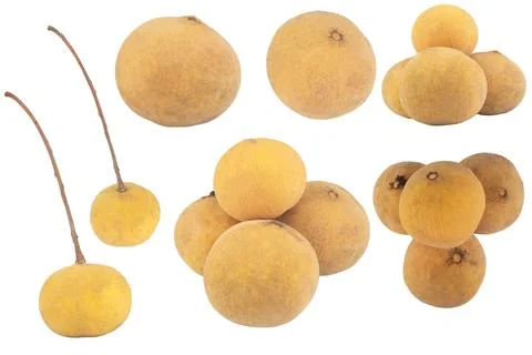 Santol isolated on white background Stock Photos