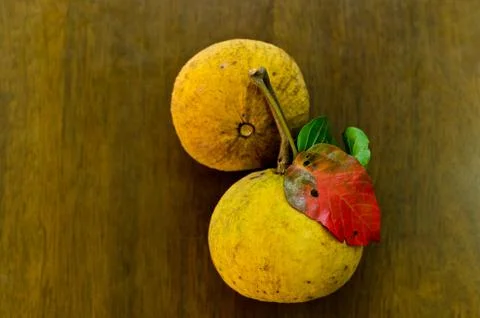 Santol or sentul Stock Photos