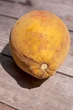Santol Foto stock