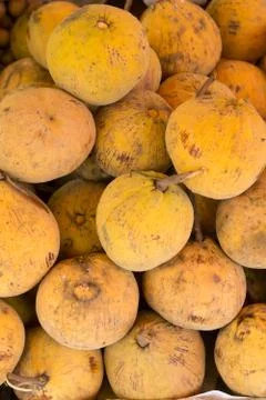 Santol Stock Photos