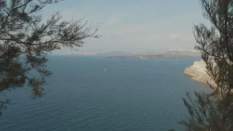 Santorini bay through the olive trees Video stock 321773343