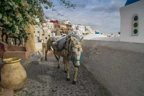 Santorini, Greece Stock Photos