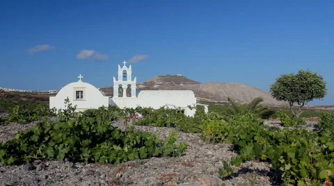 Santorini, Greece Vineyard Stockbeeldmateriaal 764019