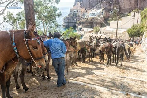 Santorini Mules Stock Photos
