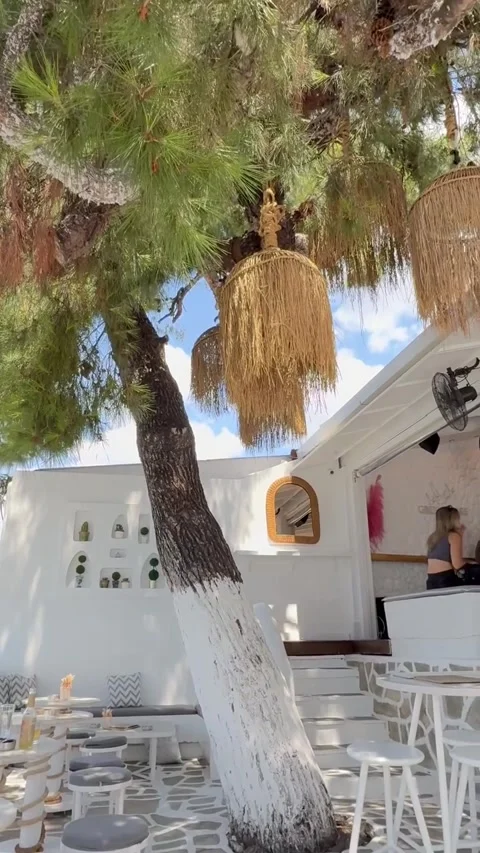 Santorini Restaurant Tree Patio Stock Footage 341316995
