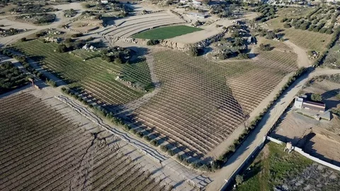 Santos bodegas de Santo Tomas, vineyard farm Stock Footage 104235484