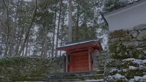 Sanzenin temple. Stock Footage 84581732