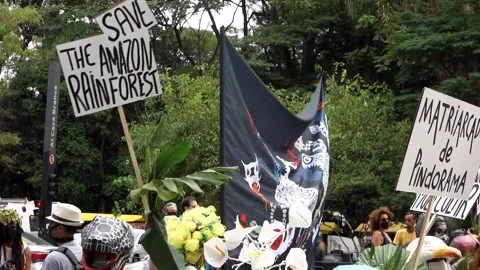 Sao Paulo, Brazil - Dec.04.2021: costumed protesters with banners and slogans Stock Footage 166370402