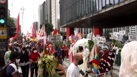 Sao Paulo, Brazil - Dec.04.2021: costumed protesters with banners and slogans Stock Footage 166370800