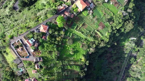 Sao Roque do Faial, Madeira, Portugal Stock Footage 251921322