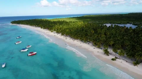 Saona - beach zoom out Stock Footage 59556374