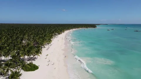 Saona Island 動画素材 263122037