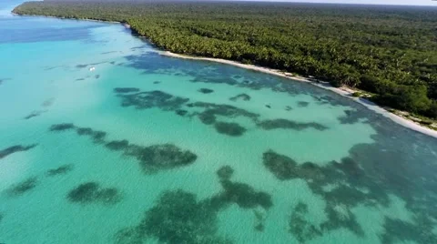 Saona Natural pool from the sky Video stock 59557090