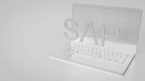 The Sap on notebook for technology concept 3d rendering. Illustrazione stock