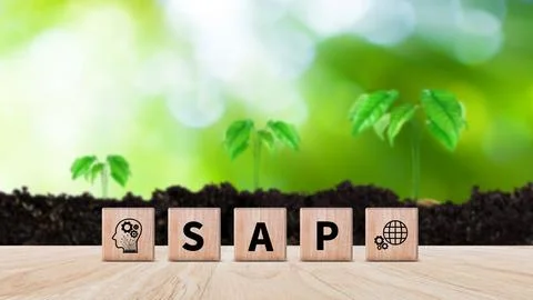 SAP system concept, SAP System Application Products, Wooden blocks with SAP.. 写真素材