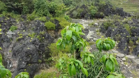 Sapa Abandend Park Stock Footage 221456786
