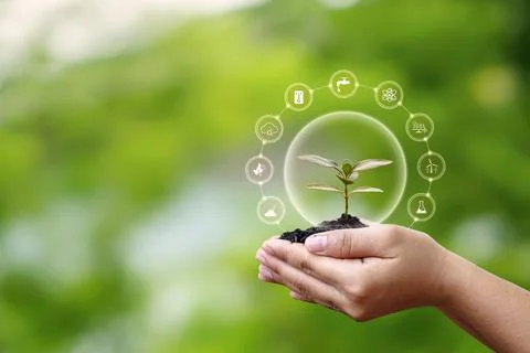 Sapling growing on soil in farmer's hands and plant growth factor icon, aff.. Stock Photos
