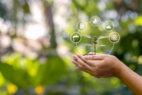 Sapling growing on soil in farmer's hands and plant growth factor icon, aff.. Stock Photos