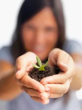 Sapling in hands Stock Photos
