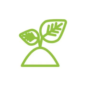 Sapling Stock Illustration
