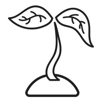Sapling Stock Illustration