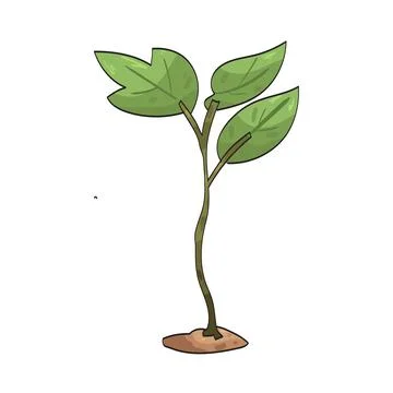 Sapling illustration 库存插图