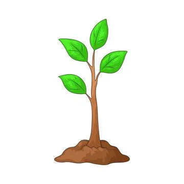 Sapling illustration Иллюстрация