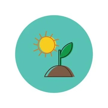 Sapling With Sun Stock Illustration