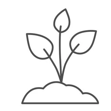 Sapling with three leaves thin line icon, nature concept, sprout planted in soil Stock Illustration
