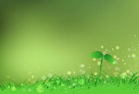 Sapling of tree with grass field freshness blurry Bokeh nature Stock Illustration