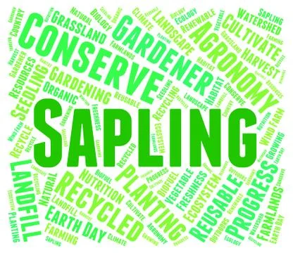 Sapling Word Means Tree Trunk And Cultivate Stock Illustration
