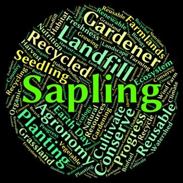 Sapling Word Means Tree Trunk And Cultivate Stock Illustration