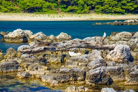 Saplunara Foto stock