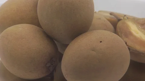 Sapodilla fruit Stock Footage 126113160