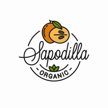 Sapodilla fruit logo. Round linear of slice Stock Illustration