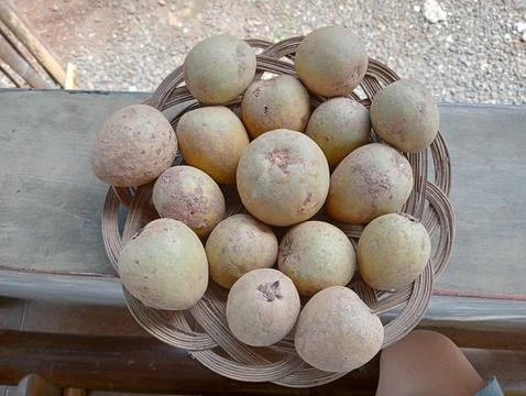 Sapodilla fruit Stock Photos