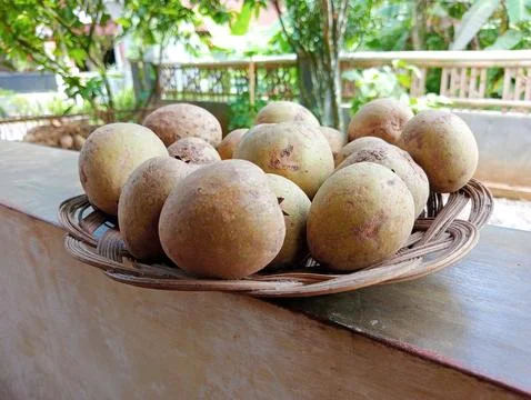 Sapodilla fruit Stock Photos