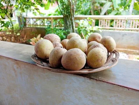 Sapodilla fruit Stock Photos