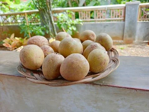 Sapodilla fruit Stock Photos